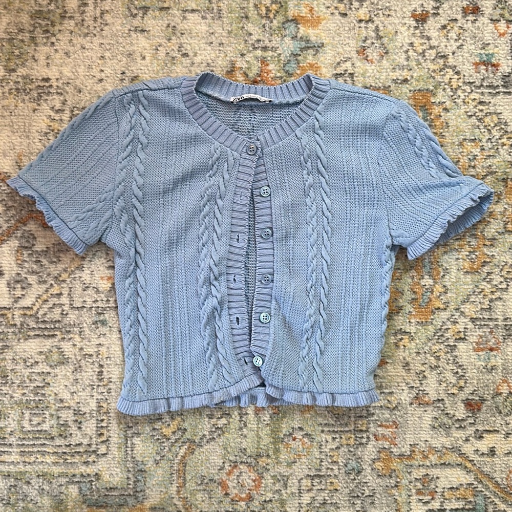 Zara Cropped Sweater